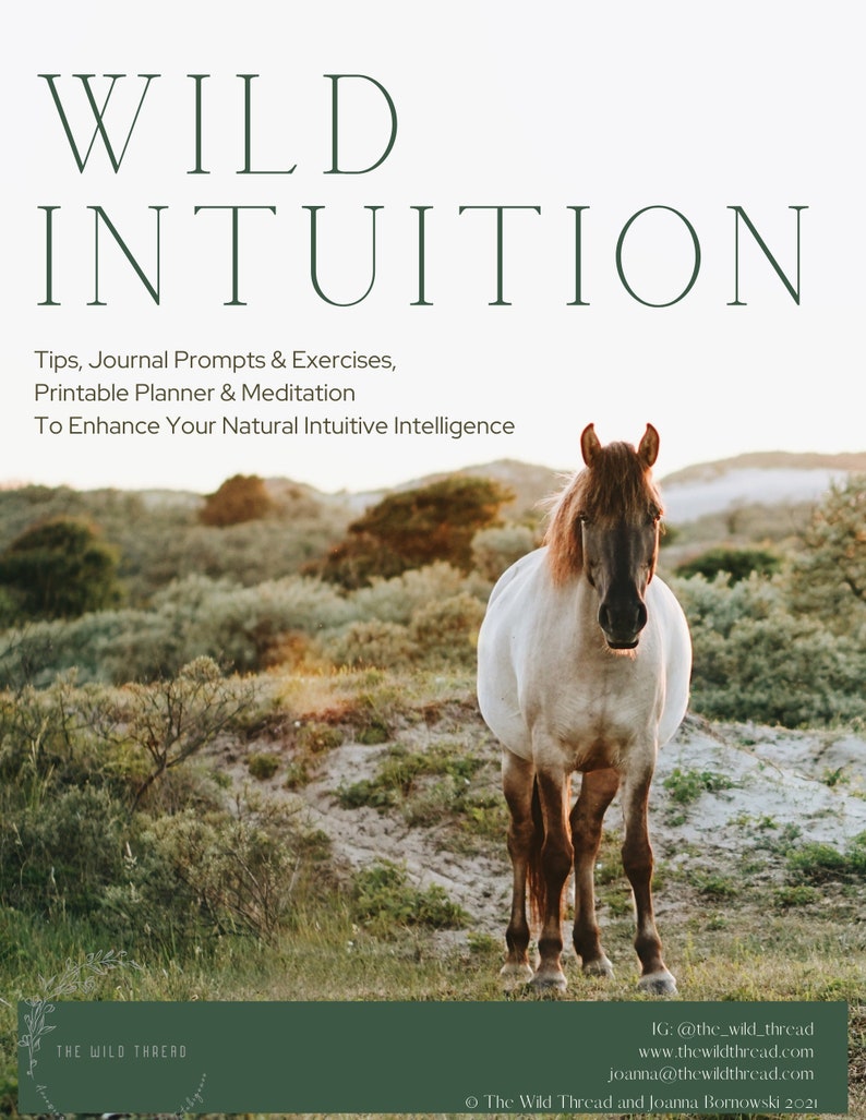 May include: A white horse with a brown mane and tail stands in a field of green grass. The text "WILD INTUITION" is at the top of the image. The text "Tips, Journal Prompts & Exercises, Printable Planner & Meditation To Enhance Your Natural Intuitive Intelligence" is below the title. The text "THE WILD THREAD" is at the bottom left of the image. The text "IG: @the_wild_thread www.thewildthread.com joanna@thewildthread.com &copy; The Wild Thread and Joanna Bornowski 2021" is at the bottom right of the image.