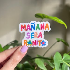 Karol G Inspired Stickers: Mañana Será Bonito, Bichota Vinyl Decals