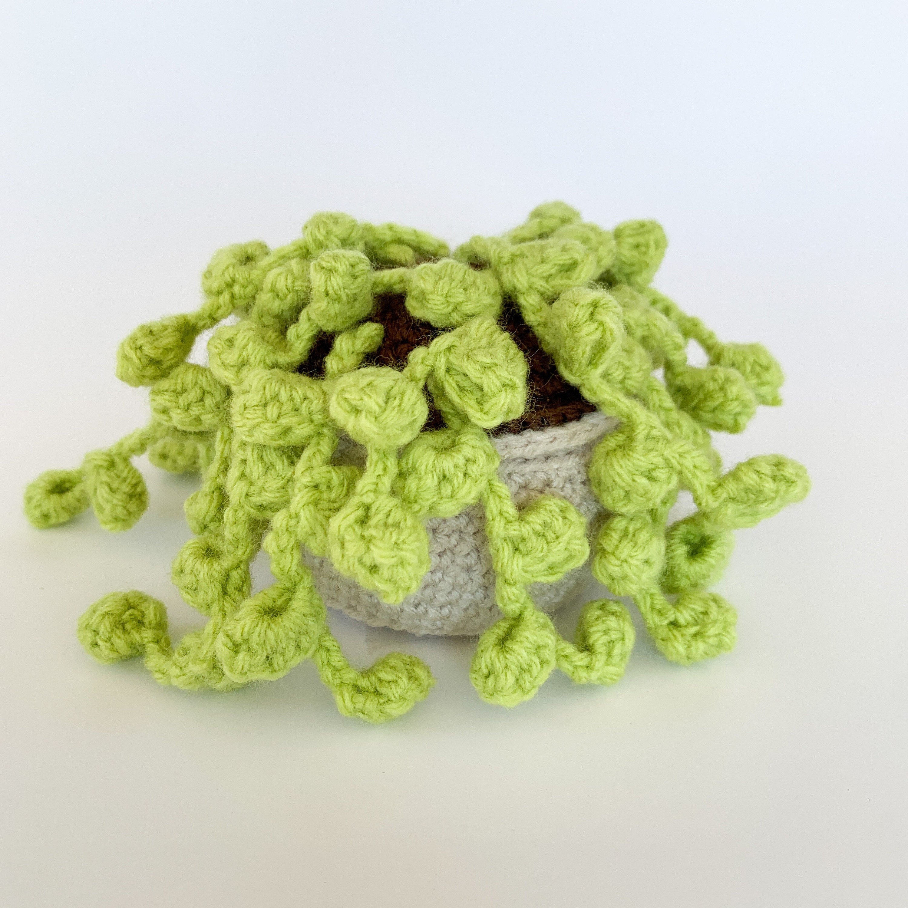 Crochet String of Pearls Crochet Succulent Amigurimi Etsy