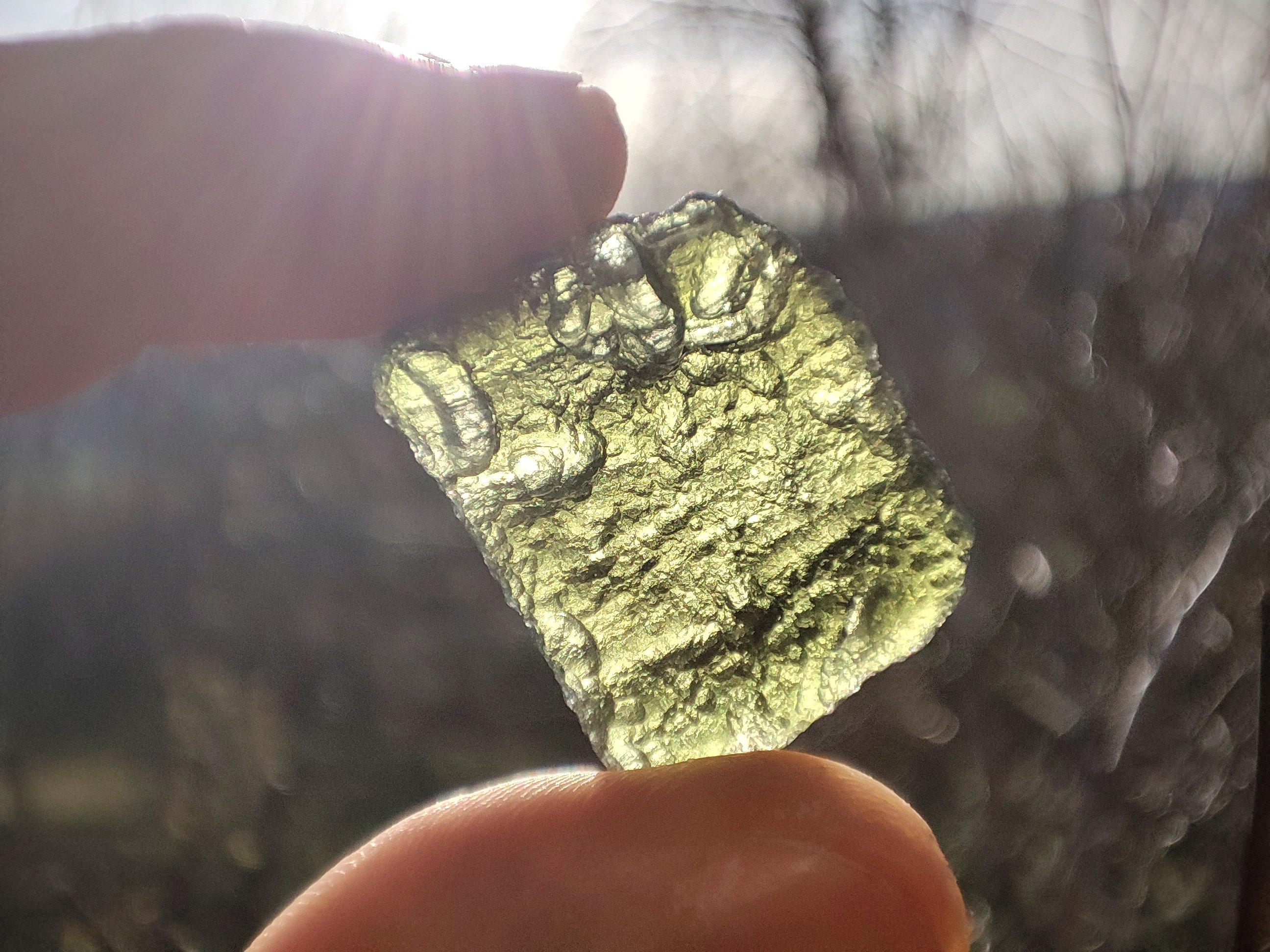 Moldavite Entière Naturelle de Chlum, Pierre Collection Unique