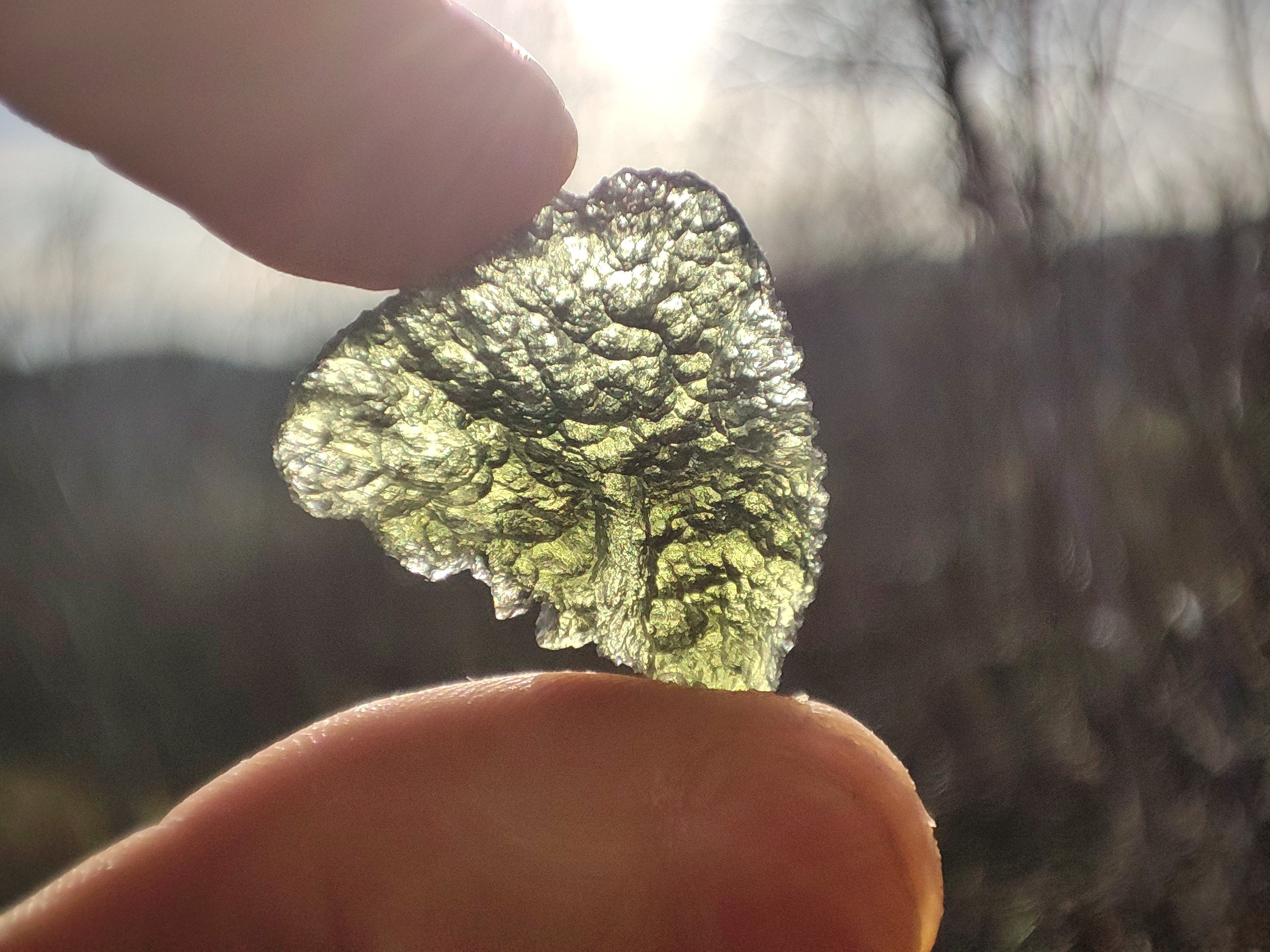 Moldavite Entière Naturelle de Chlum, Pierre Collection Unique
