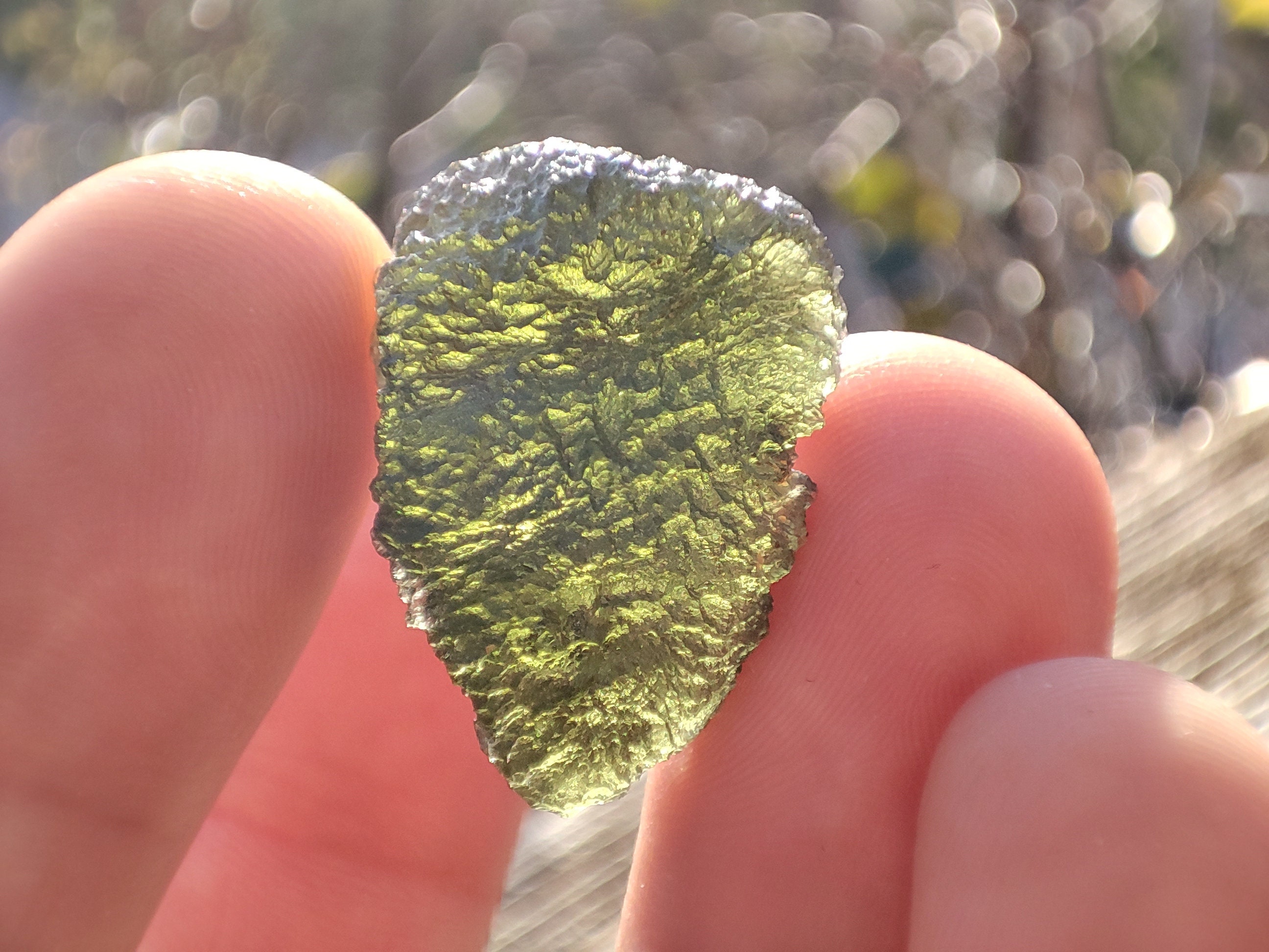 Moldavite Entière Naturelle de Chlum, Pierre Collection Unique
