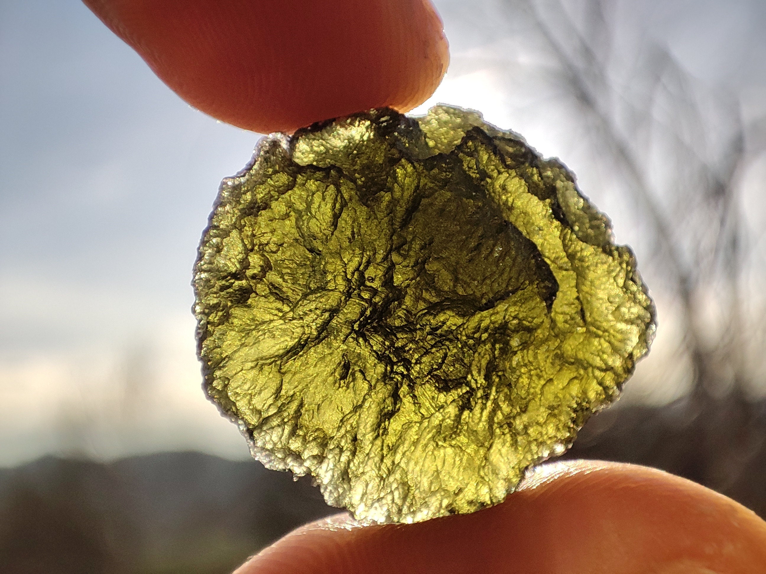 Moldavite Entière Naturelle de Chlum, Pierre Collection Unique