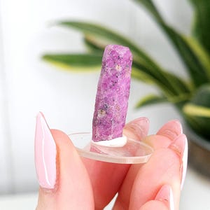 May include: A pink crystal, rectangular in form, is displayed on a clear, circular base. The crystal has a rough, textured surface. A blurred green plant is in the background.