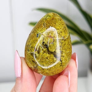 May include: A polished, egg-shaped stone with a mottled, olive-green color and a network of light-colored veins. The stone is held in a hand with pink nail polish, and a plant is visible in the background.
