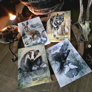 Power animal cards - rabbit - wolf - raven - badger