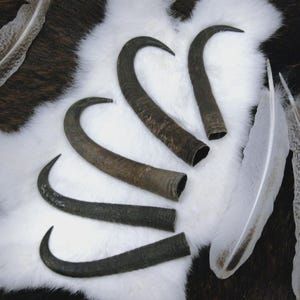 Chamois-par (Krucken)