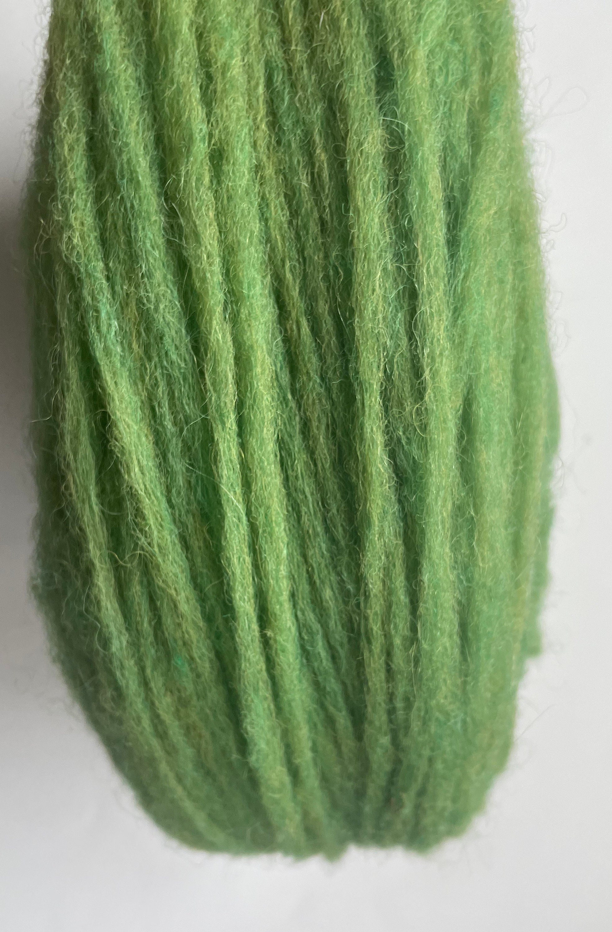Dundaga Pencil Roving, Unspun Wool 2-ply, Intense Green, RY10_2 - Etsy UK