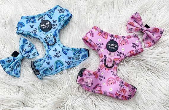 Harness with front d ring dog discount