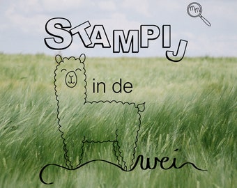 Moordspel: Stampij in de alpacawei (NL) - 8 spelers
