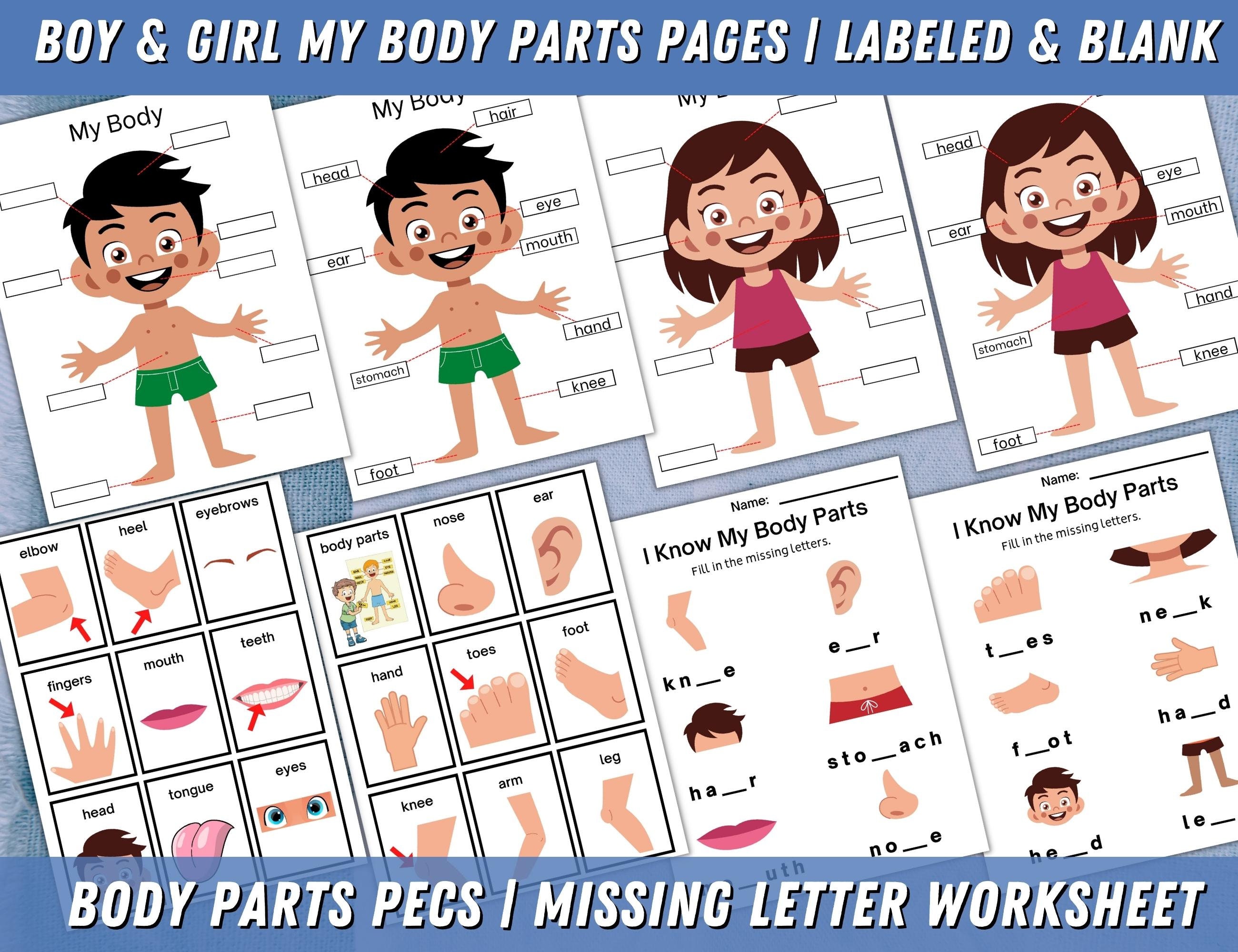 Body Parts Printable Body Parts Pecs Communication Cards - Etsy
