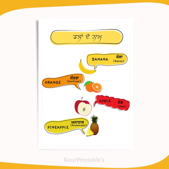 Fruits names in Punjabi and English Bilingual Fruits names | Etsy Österreich