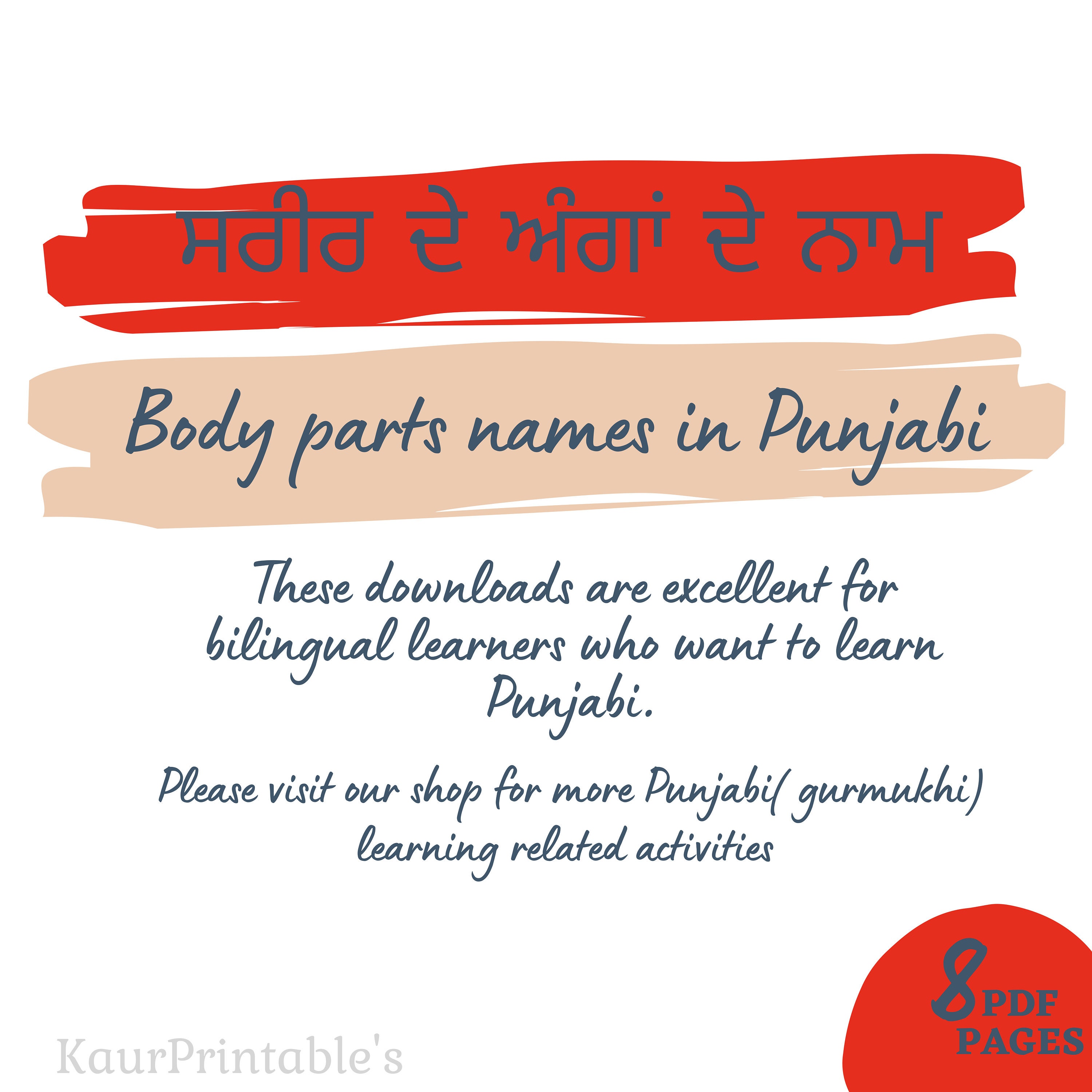 Parts of Body Names in Punjabi and English Worksheets Bilingual Body