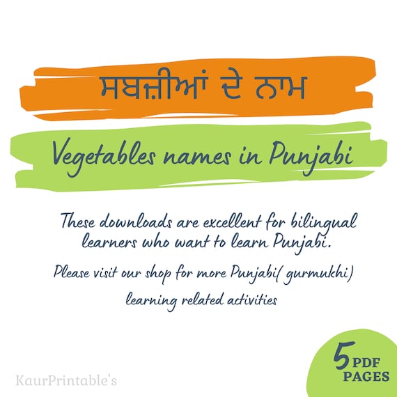 vegetable s names in punjabi and english worksheets etsy