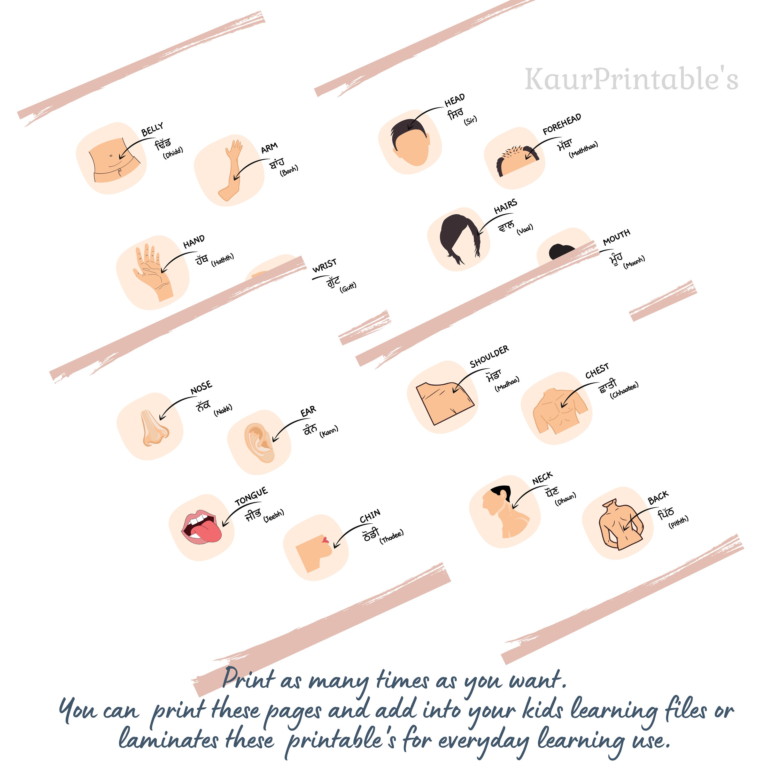 Parts of Body Names in Punjabi and English Worksheets Bilingual Body