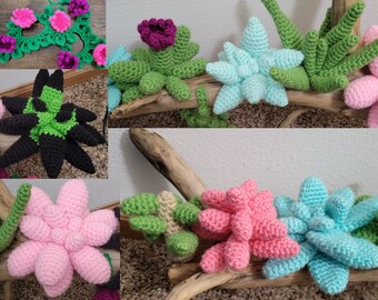 Succulent Pattern Pack Crochet PDF Pattern - 11 types of succulents
