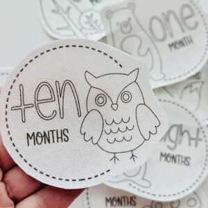 May include: White felt baby milestone cards with black outlines of animals and numbers. The card shown has an owl and the text "ten months".
