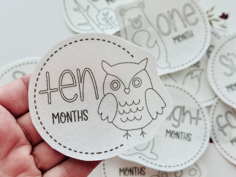 May include: White felt baby milestone cards with black outlines of animals and numbers. The card shown has an owl and the text "ten months".