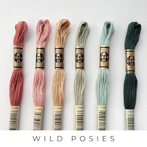 DMC Six Strand Embroidery Floss, 6 Skeins Color Pack, Trendy Embroidery Thread Set, Hand Embroidery Floss for Cross Stitch & DIY Crafts