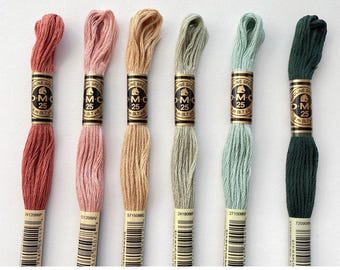 DMC Six Strand Embroidery Floss, 6 Skeins Color Pack, Trendy Embroidery Thread Set, Hand Embroidery Floss for Cross Stitch & DIY Crafts