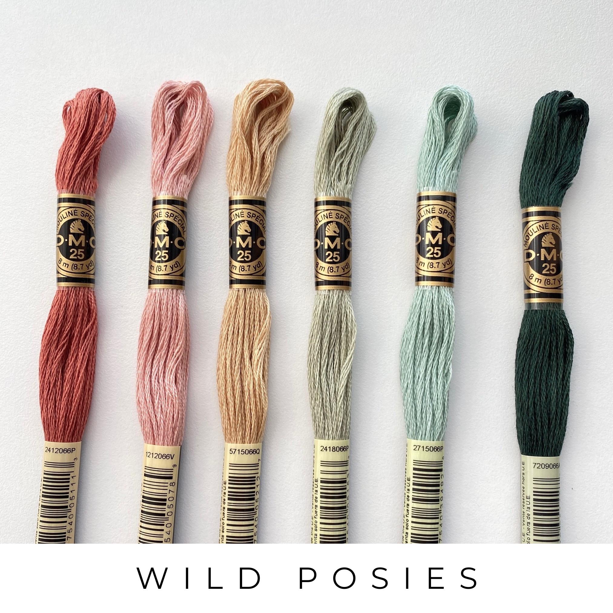 DMC Six Strand Embroidery Floss, 6 Skeins Color Pack, Trendy Embroidery ...