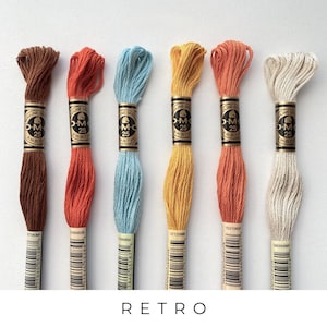 DMC Six Strand Embroidery Floss, 6 Skeins Color Pack, Trendy Embroidery Thread Set, Hand Embroidery Floss for Cross Stitch & DIY Crafts