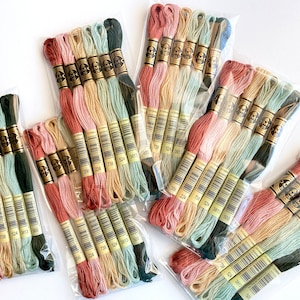 DMC Six Strand Embroidery Floss, 6 Skeins Color Pack, Trendy Embroidery Thread Set, Hand Embroidery Floss for Cross Stitch & DIY Crafts