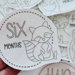 May include: A white, circular baby milestone card with a black outline and a dashed line border. The card features a black and white illustration of a raccoon and the text "Six Months".