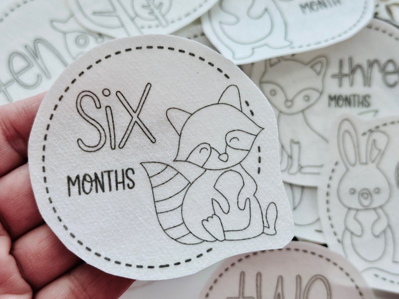 May include: A white, circular baby milestone card with a black outline and a dashed line border. The card features a black and white illustration of a raccoon and the text "Six Months".