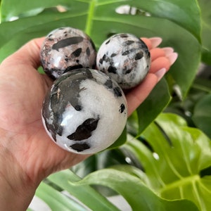 Tourmaline on Quartz Sphere | Tourmalinated Quartz Sphere | Metaphysical Crystals | Black Tourmaline | Crystal Orb
