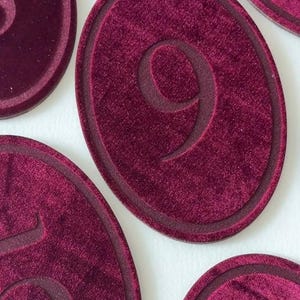 K&ouml;nnte beinhalten: Eine Sammlung ovaler Marker mit einer tiefburgunderroten Samttextur. Jeder Marker zeigt eine einzelne gepr&auml;gte Ziffer in der Mitte, umgeben von einem erhabenen Rand. Die sichtbaren Zahlen umfassen neun, f&uuml;nf, drei und eins.