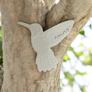 Plaatskaart kolibrie - handgeschreven plaatskaarten met geperste kolibriedetails - handgeschreven kalligrafie - plaatskaarten dieren