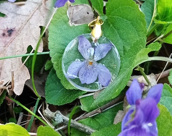 Violet pendant, handmade in natural dried flowers from my garden, stainless steel primer