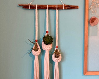 Macramé driftwood triple plant pod hanger