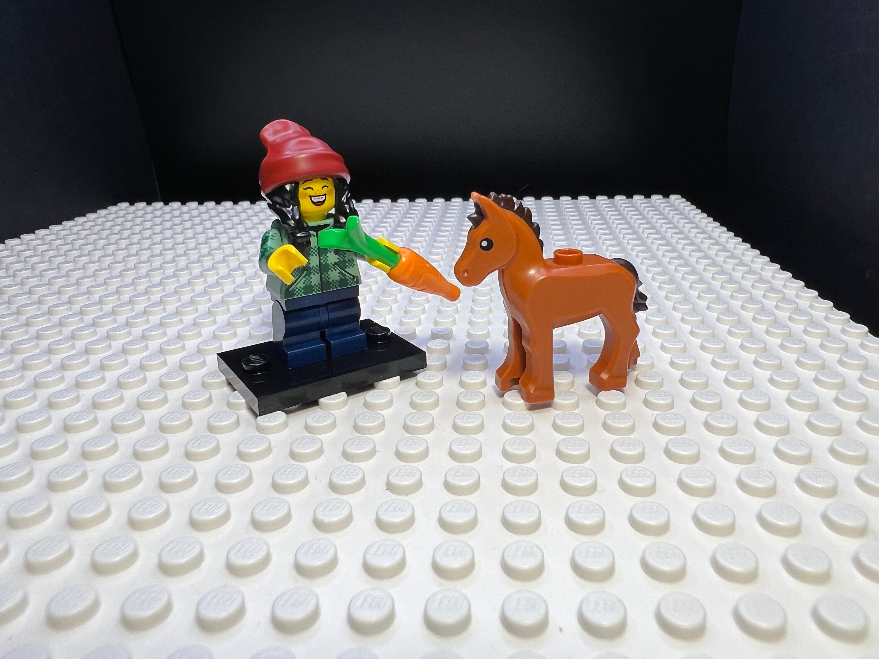 Horse and Groom LEGO Collectable Minifigure Series 22 71032. Etsy