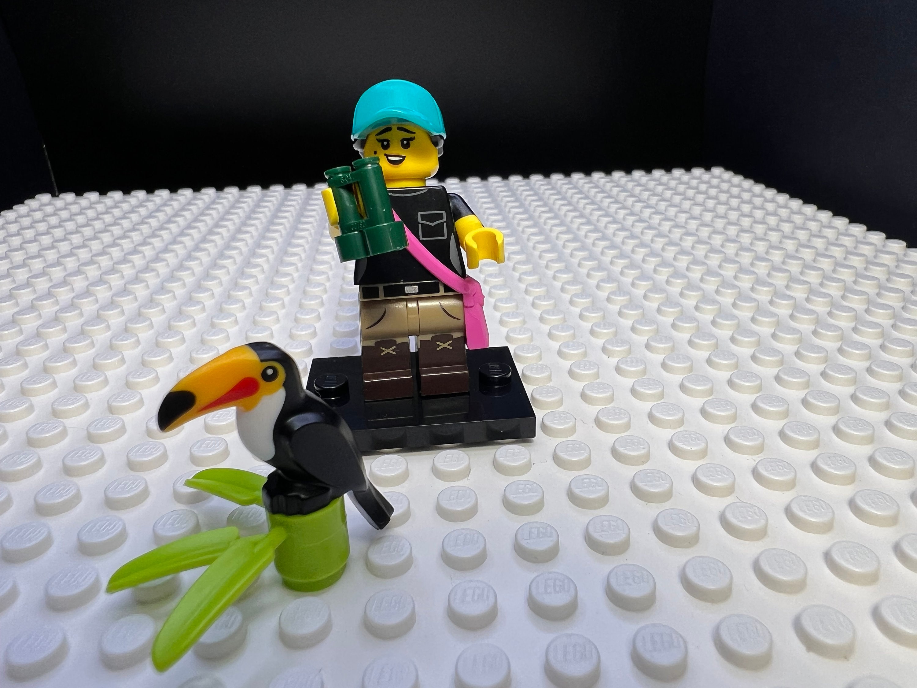 Birdwatcher LEGO Collectable Minifigure Series 22 71032. Etsy UK