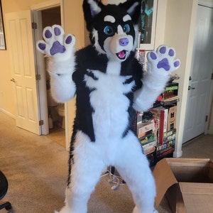 Full Fursuit