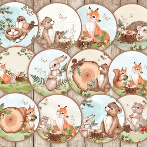 Animales del bosque,Etiquetas del círculo del bosque, Toppers de cupcakes de baby shower imprimibles, Pegatinas de álbum de recortes para bebés, Etiquetas de favor imprimibles, Bebé digital