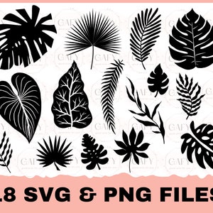May include: Set of 18 black and white silhouette tropical leaf SVG and PNG files. The leaves include palm, monstera, fern, and other tropical foliage.