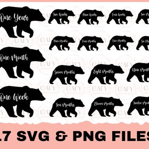 Baby Bear Pietre miliari mensili Svg, Pietre miliari del bambino Svg, Neonato Svg, Pietre miliari infantili Svg, Cricut Nuova mamma