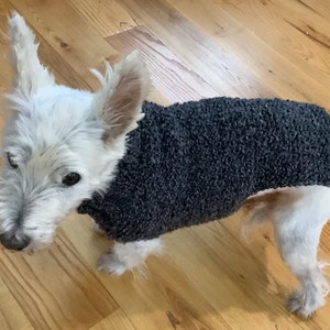 May include: A white dog wearing a gray fuzzy sweater. The dog is standing on a wooden floor.