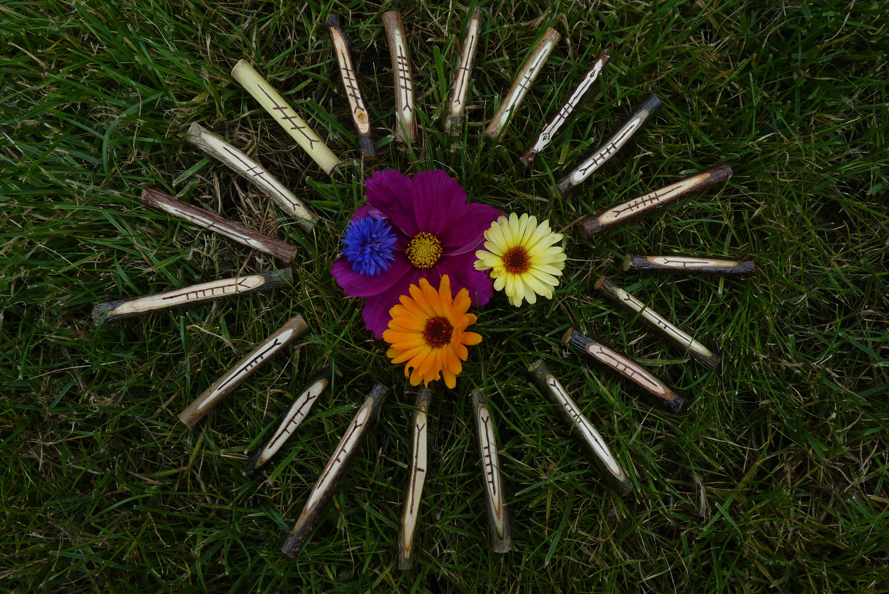 20 Celtic Ogham - 4 Acimes