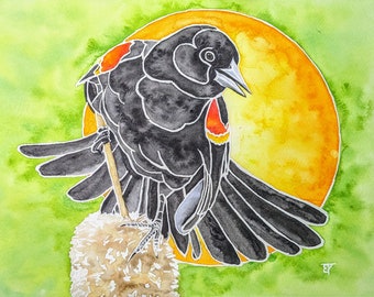 Aquarelle originale de merle à épaulettes rouges