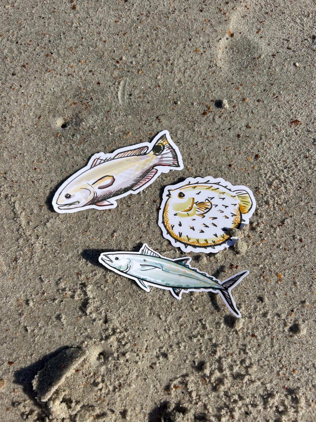Ocean Fish Sticker Set – Watercolor Sea Animal Stickers for Planners ...