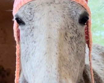 Winter Horse Hat