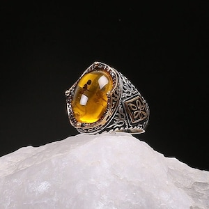 Ant Fossil Amber Stone, Silver Ring,  Fossil Insect Ring,  Unique Gift for Men, Handmade ring
