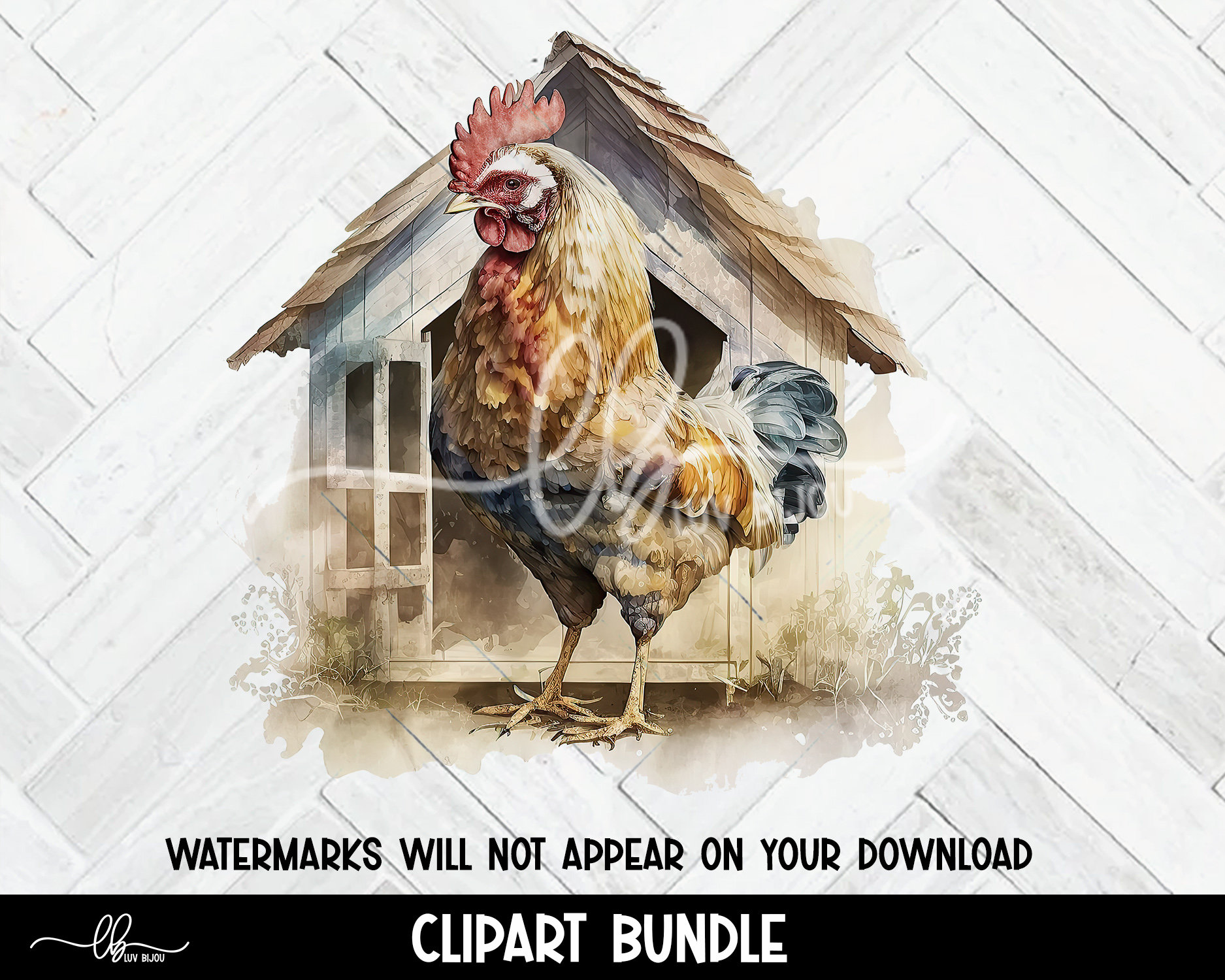 Chicken Watercolor Clipart Bundle: Farm Animal PNG Files (300 DPI) - Etsy