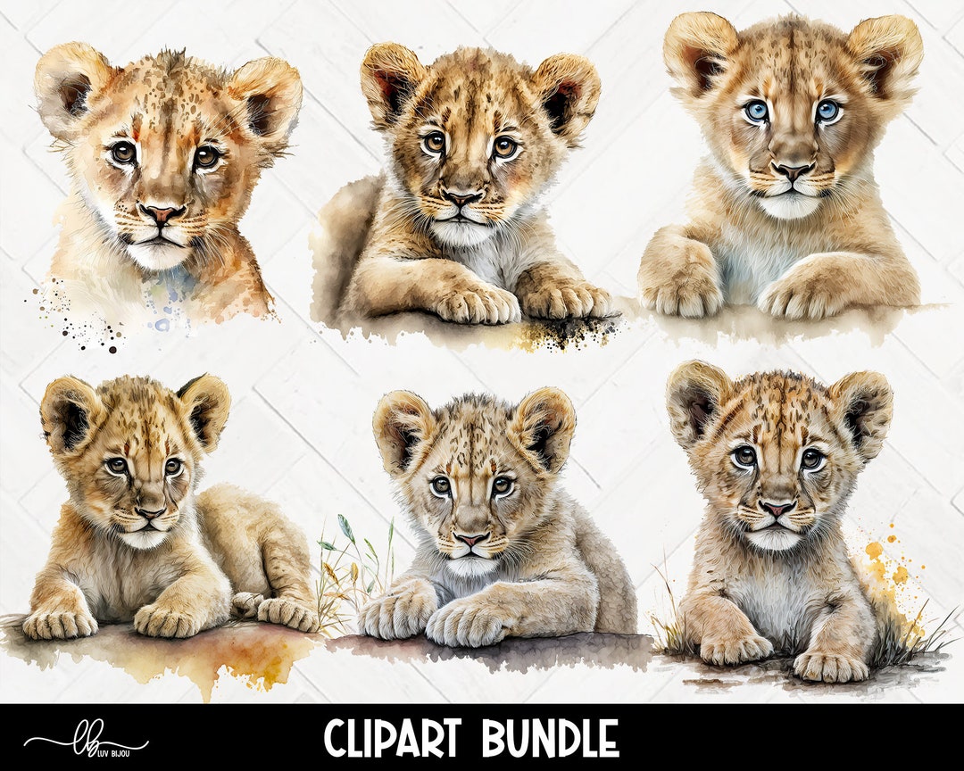 Watercolor Lion Clipart, Watercolor Anima Illustrations, Baby Lion PNG ...