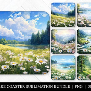 Daisy Square Coaster Bundle, Watercolor Floral Sublimation Bundle, 6 Assorted Coaster Designs, Keychain PNG, Earring Clipart