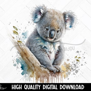 Kawaii Koala PNG Instant Digital Download Sticker Design Print Graphic  Design Vector Image Transparent Background HD PNG 